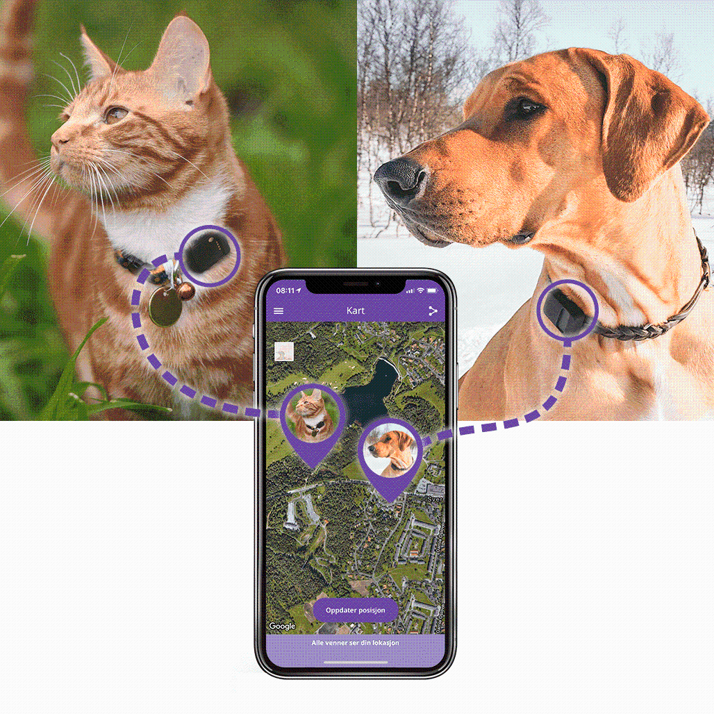 Tail it pet gps on sale